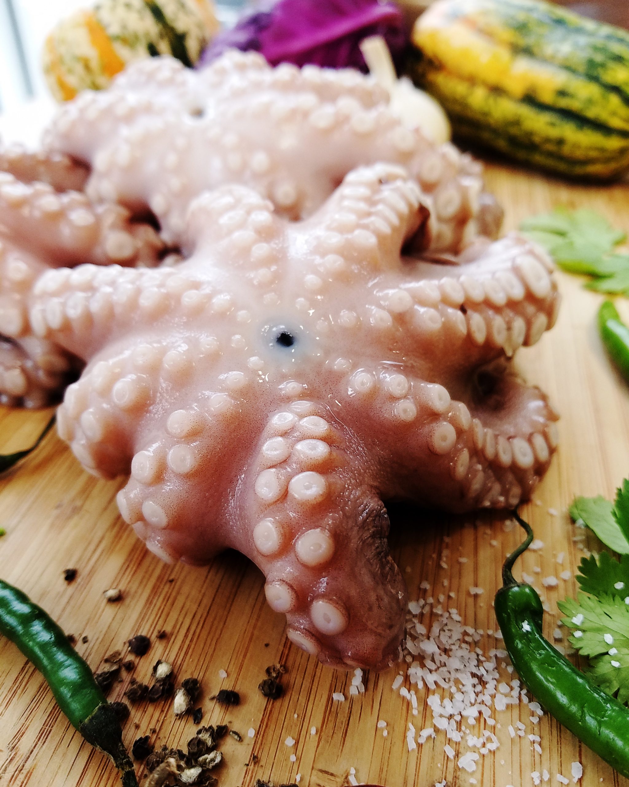 Spanish Octopus/Pulpo 2-4LB AVG - Giuseppe's Market